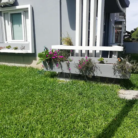 Buddies Charm House Aveiro Exterior photo