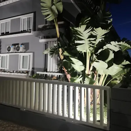Buddies Charm House Aveiro Exterior photo