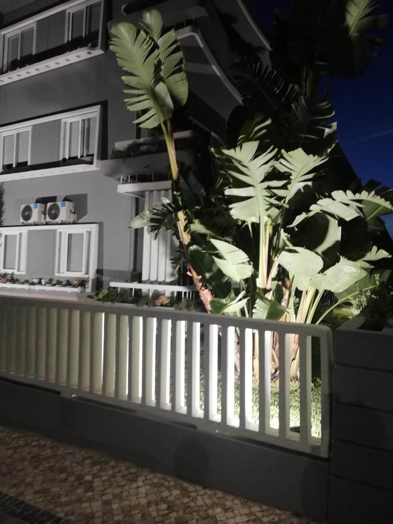 Buddies Charm House Apartment *